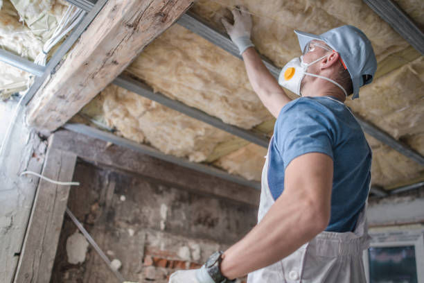 Best Insulation Maintenance and Repair in Saybrook On The Lake, OH